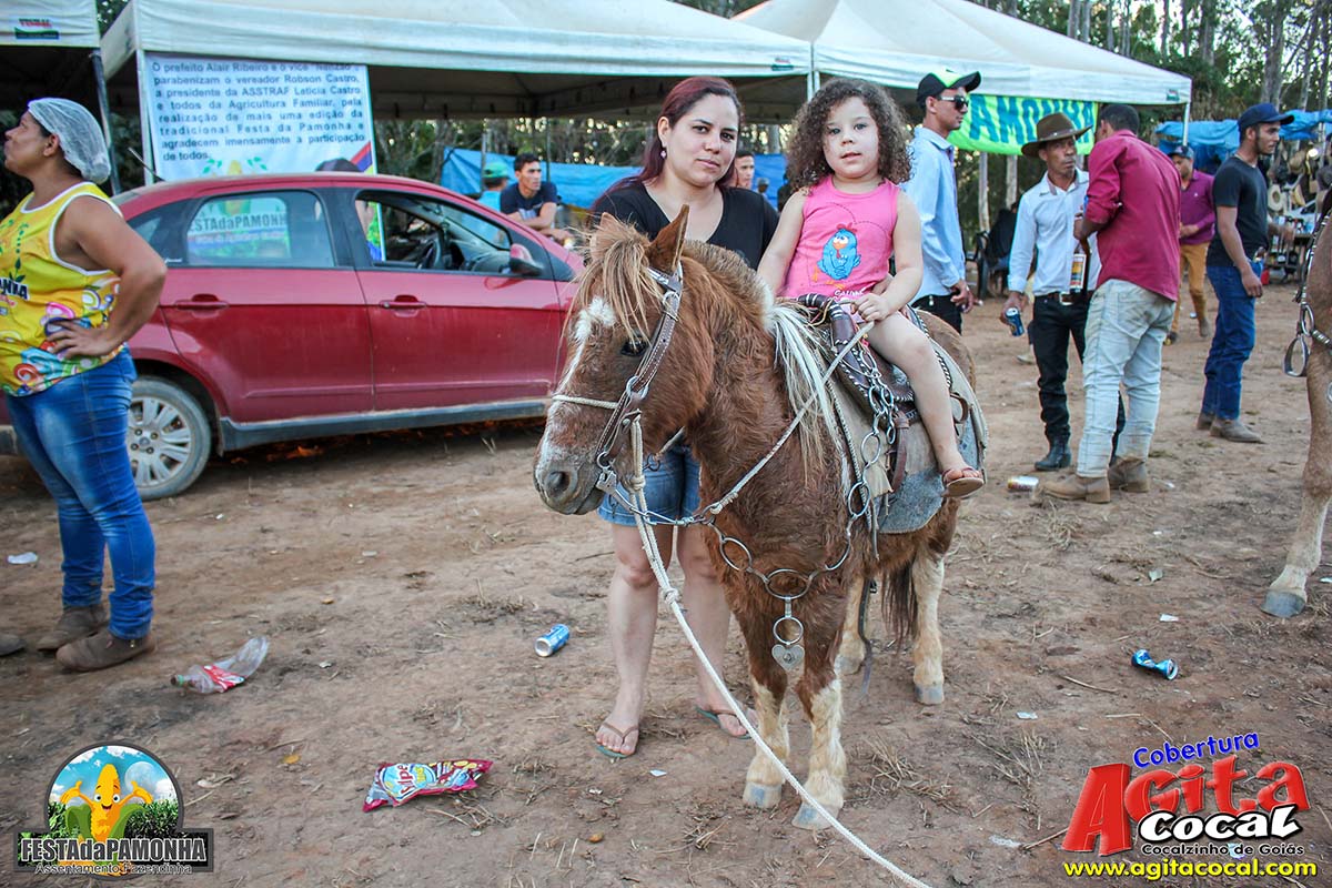 Festa da Pamonha (3 Dia)